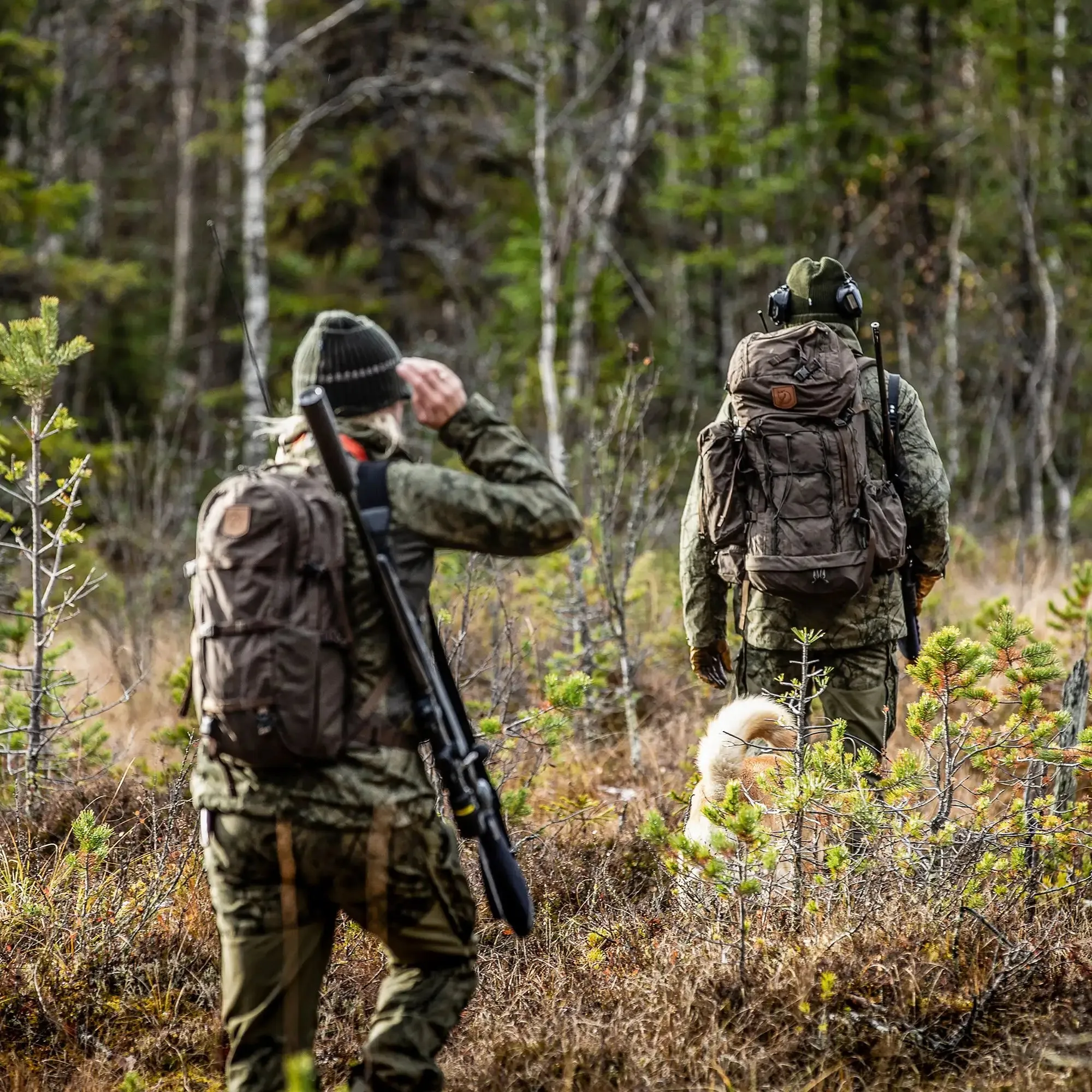 Lappland Hike 15 - F27230